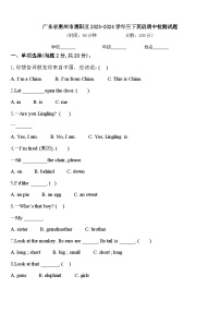 广东省惠州市惠阳区2023-2024学年三下英语期中检测试题含答案