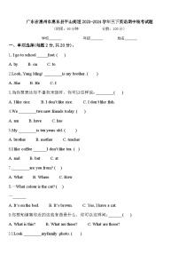 广东省惠州市惠东县平山街道2023-2024学年三下英语期中统考试题含答案