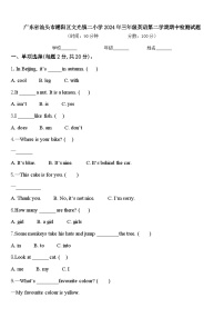 广东省汕头市潮阳区文光镇二小学2024年三年级英语第二学期期中检测试题含答案