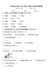 广西崇左市大新县2024年英语三年级第二学期期中检测试题含答案