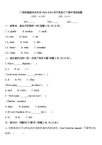 广西防城港市东兴市2023-2024学年英语三下期中考试试题含答案