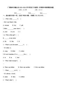 广西柳州市融水县2023-2024学年英语三年级第二学期期中调研模拟试题含答案