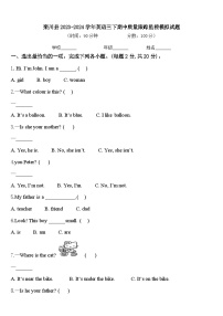 栾川县2023-2024学年英语三下期中质量跟踪监视模拟试题含答案