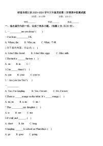 昭通市绥江县2023-2024学年三年级英语第二学期期中监测试题含答案