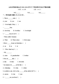 山东省济南市南山区2023-2024学年三下英语期中学业水平测试试题含答案