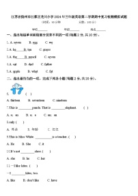 江苏省扬州市江都区龙川小学2024年三年级英语第二学期期中复习检测模拟试题含答案