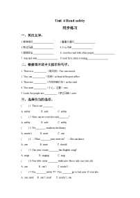 小学英语牛津译林版六年级下册Unit 4 Road safety当堂达标检测题