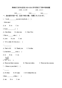 海南省三亚市屯昌县2023-2024学年英语三下期中考试试题含答案