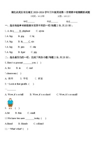 湖北省武汉市汉南区2023-2024学年三年级英语第二学期期中检测模拟试题含答案