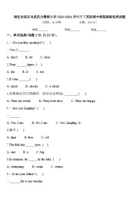 湖北省武汉市武昌白鹭街小学2023-2024学年三下英语期中质量跟踪监视试题含答案