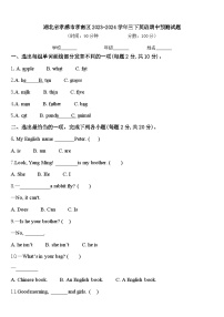 湖北省孝感市孝南区2023-2024学年三下英语期中预测试题含答案