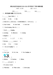 湖北省宜昌市远安县2023-2024学年英语三下期中调研试题含答案