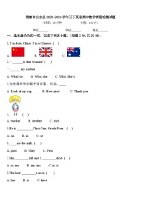 渭南市白水县2023-2024学年三下英语期中教学质量检测试题含答案