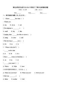 湖北省黄冈市武穴市2024年英语三下期中达标测试试题含答案