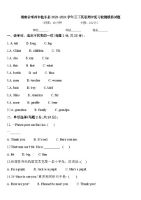 湖南省郴州市桂东县2023-2024学年三下英语期中复习检测模拟试题含答案