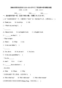 湖南省邵阳市武冈市2023-2024学年三下英语期中联考模拟试题含答案