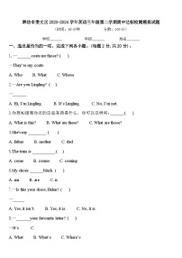 潍坊市奎文区2023-2024学年英语三年级第二学期期中达标检测模拟试题含答案