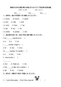 湖南省长沙市岳麓区博才卓越小学2024年三下英语期中经典试题含答案