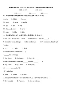 福建泉州泉港区2023-2024学年英语三下期中教学质量检测模拟试题含答案