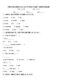 甘肃省白银市景泰县2023-2024学年英语三年级第二学期期中经典试题含答案