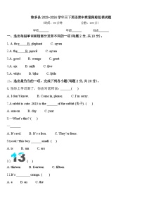 称多县2023-2024学年三下英语期中质量跟踪监视试题含答案