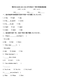 荆州市公安县2023-2024学年英语三下期中质量检测试题含答案