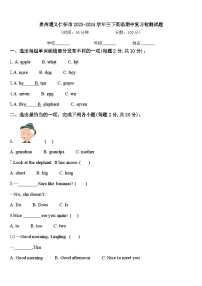 贵州遵义仁怀市2023-2024学年三下英语期中复习检测试题含答案