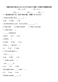 西藏阿里地区噶尔县2023-2024学年英语三年级第二学期期中监测模拟试题含答案