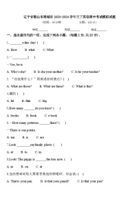 辽宁省鞍山市海城市2023-2024学年三下英语期中考试模拟试题含答案