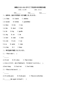 额敏县2023-2024学年三下英语期中统考模拟试题含答案