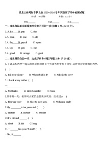 黑龙江省鹤岗市萝北县2023-2024学年英语三下期中检测试题含答案