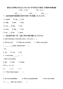 黑龙江省双鸭山市尖山区2023-2024学年英语三年级第二学期期中检测试题含答案