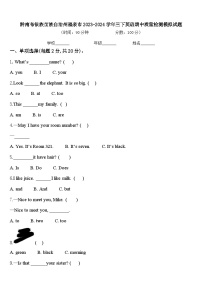 黔南布依族苗族自治州福泉市2023-2024学年三下英语期中质量检测模拟试题含答案