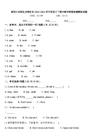 黑龙江省绥化市海伦市2023-2024学年英语三下期中教学质量检测模拟试题含答案