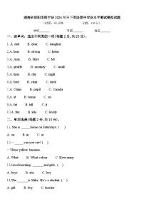 湖南省邵阳市绥宁县2024年三下英语期中学业水平测试模拟试题含答案