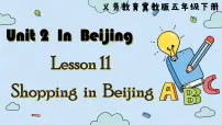 冀教版 (三年级起点)五年级下册Lesson 11 Shopping in Beijing教课内容课件ppt