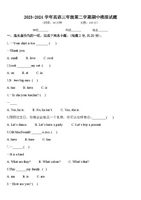 期中模拟（试题）-2023-2024学年人教PEP版英语三年级下册.2