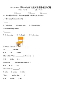 期中（试题）2023-2024学年人教PEP版英语三年级下册.1