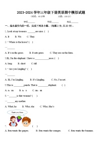 期中（试题）-2023-2024学年人教PEP版英语三年级下册.3
