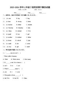 期中（试题）-2023-2024学年人教PEP版英语三年级下册.13