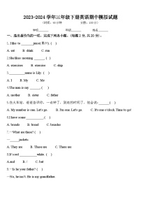 期中（试题）-2023-2024学年人教PEP版英语三年级下册