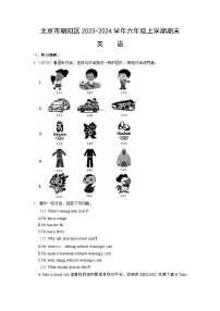 北京市朝阳区2023-2024学年六年级上学期期末英语试卷