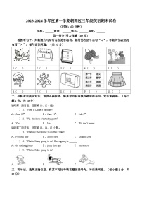 2023-2024学年北京市朝阳市北京版三年级上册期末英语试卷()