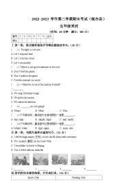 2022-2023学年山东省淄博市桓台县鲁科版（五四学制）（三起）五年级下册期末英语试卷