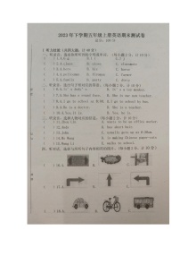 湖南省邵阳市新宁县藕塘小学等多校2023-2024学年五年级上学期期末考试英语试题