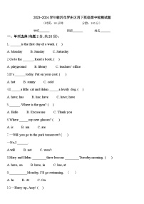 2023-2024学年临沂市罗庄区四下英语期中检测试题含答案