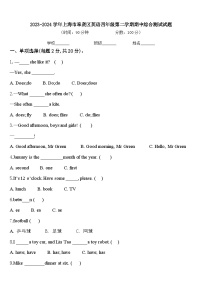 2023-2024学年上海市奉贤区英语四年级第二学期期中综合测试试题含答案