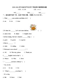 2023-2024学年北京市平谷区四下英语期中调研模拟试题含答案