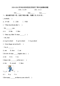 2023-2024学年哈尔滨市道里区英语四下期中达标测试试题含答案