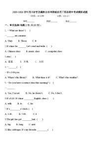 2023-2024学年四川省甘孜藏族自治州稻城县四下英语期中考试模拟试题含答案